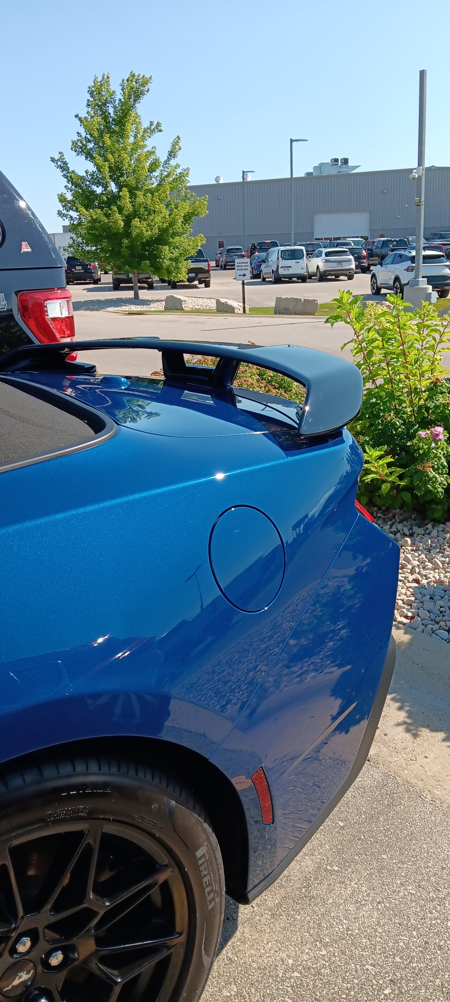 FORD MUSTANG CONVERTIBLE PERFORMANCE STYLE WING NO LIGHT(2024-UP) PAINTED