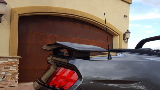 Ford Mustang Convertible "Black Mamba" Custom 2Post No Light Spoiler (2015 and UP) - DAR Spoilers