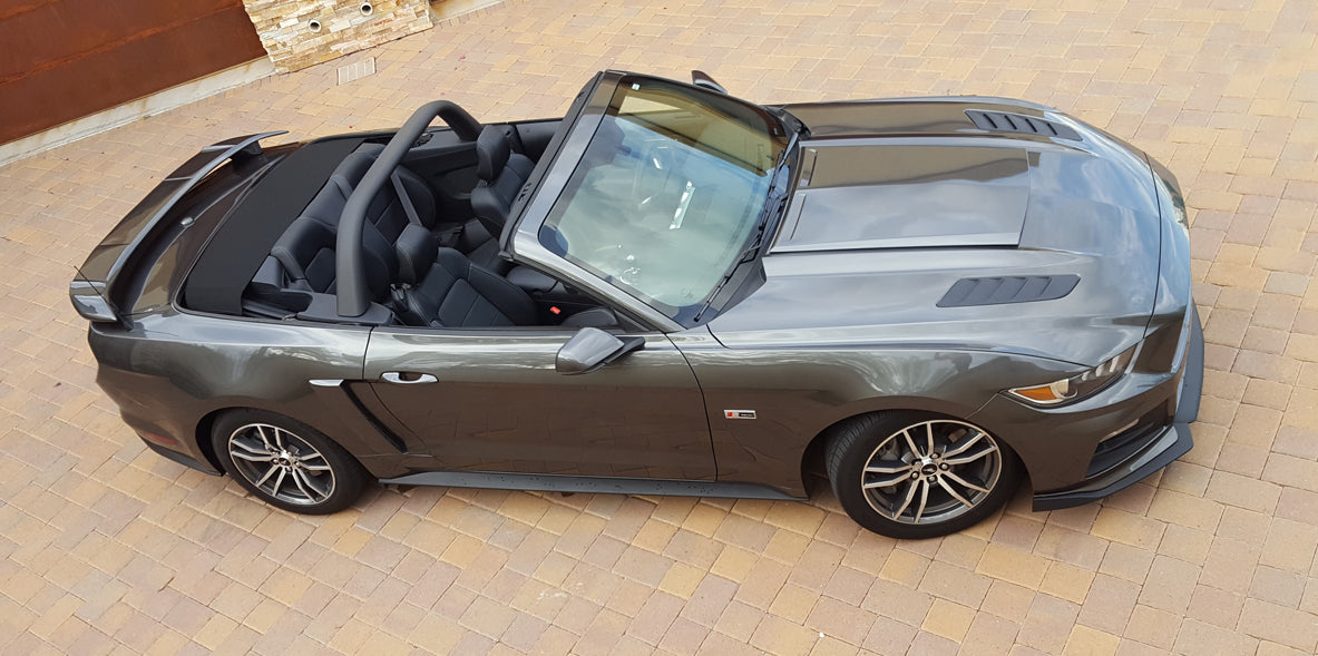Ford Mustang Convertible "Black Mamba" Custom 2Post No Light Spoiler (2015 and UP) - DAR Spoilers